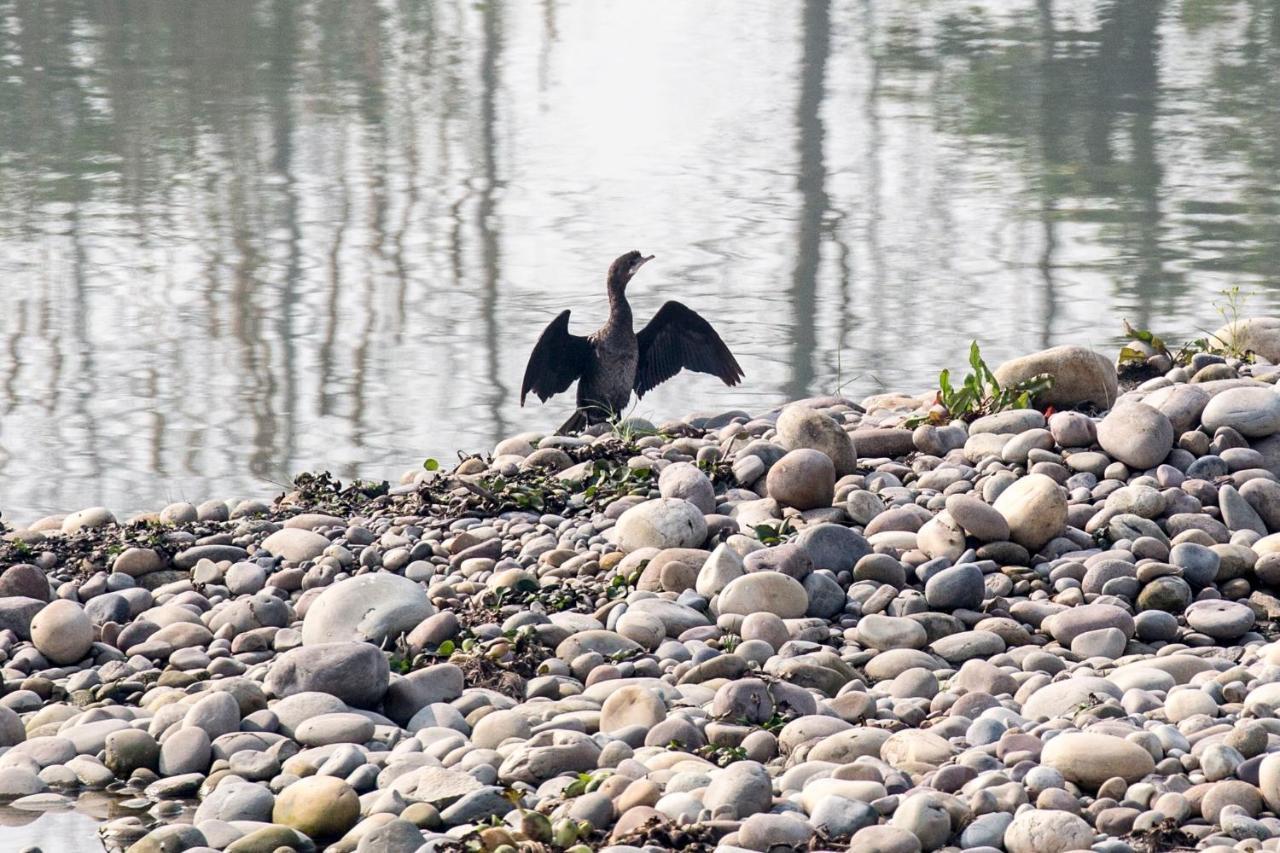 ホテル Anand At The Satluj Anandpur Sāhib エクステリア 写真